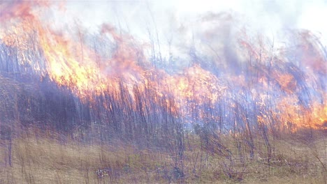 Weiten-Blick-Auf-Einen-Vorgeschriebenen-Grasbrand-Auf-Einem-Stromleitungskorridor-In-Der-Nähe-Von-Baxley-Georgia