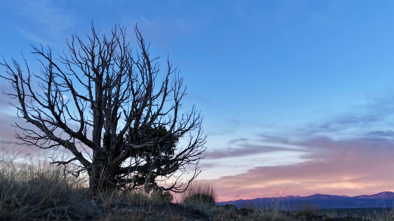 4K UHD timelapse met een langzame inzoomende camerabeweging naar een knoestige, bladloze boom. Zachte roze en paarse zonsondergangkleuren verschuiven zachtjes over de lucht boven een verre bergketen in het zuidwesten.