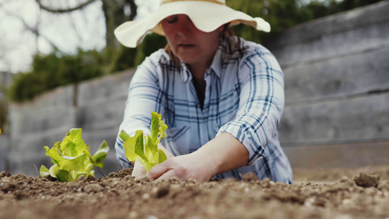 mujer plantando lechuga en un jardín