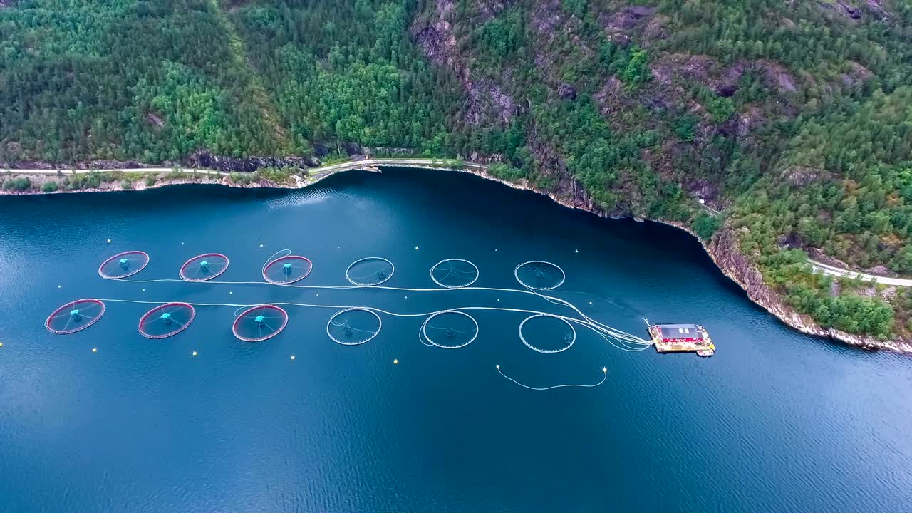 노르웨이에서 연어  ⁇ 시를 하는 공중 촬영