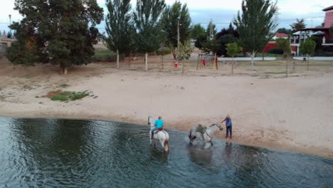 Hermosos-Caballos-Y-Un-Día-Soleado