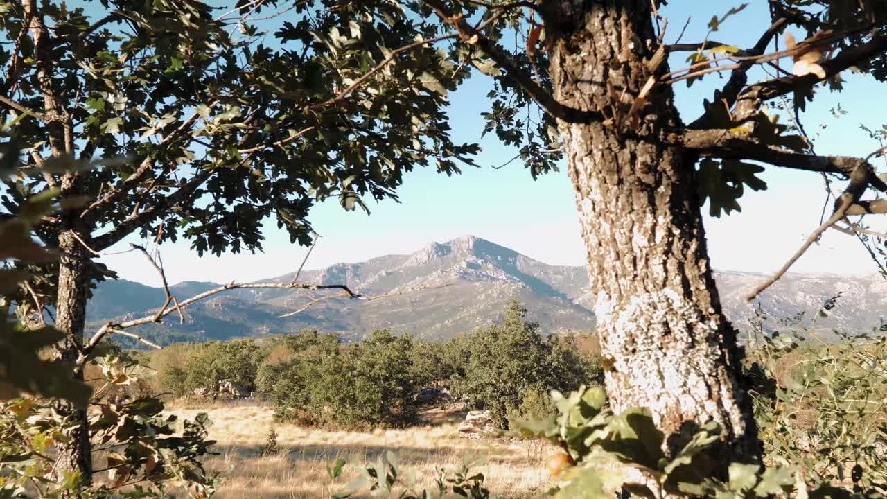 Catena montuosa della Sierra Norte con alberi in primo piano