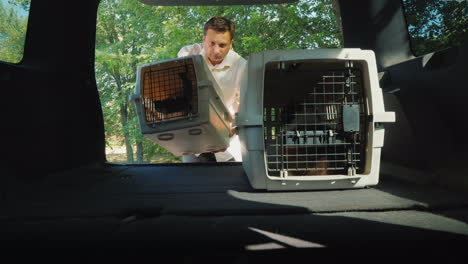 person puts two cages with puppies in the trunk of a car transportation of pets in vehicles