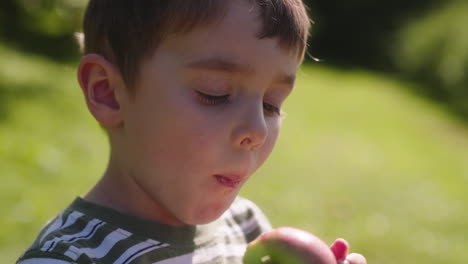 little boy taking a bite out of a delicious, juicy, fresh picked apple on a sunny, autumn afternoon