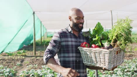 Vídeo-De-Un-Hombre-Afroamericano-Feliz-Sosteniendo-Una-Canasta-Con-Verduras-Frescas,-Parado-En-Un-Invernadero