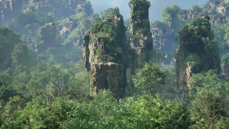 tall rock formations in a lush forest