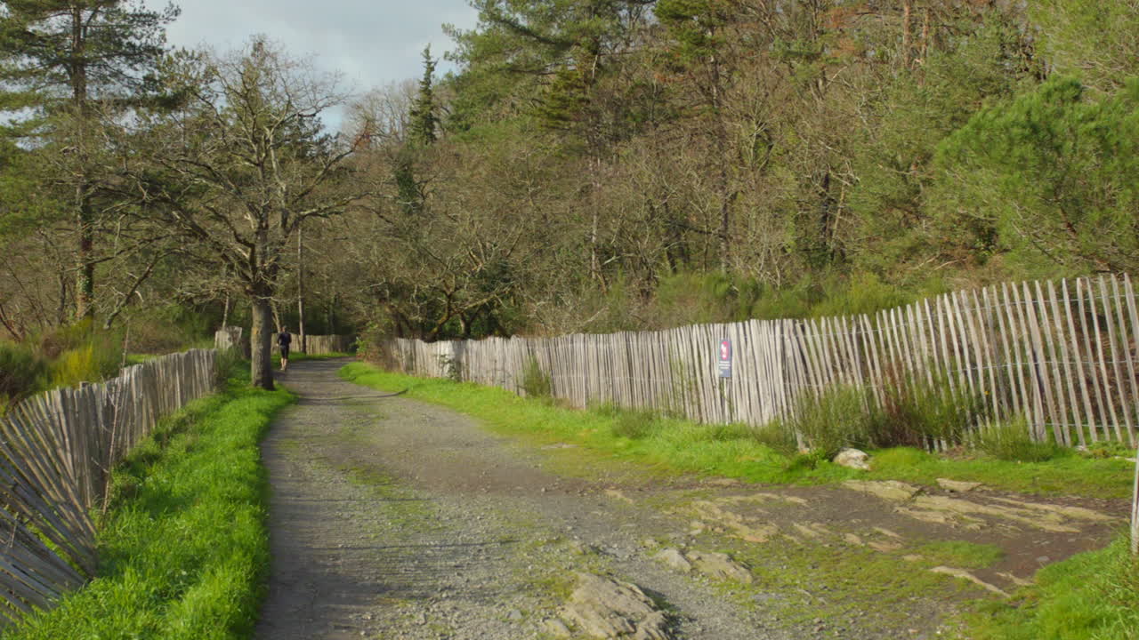 saint-nicolas park, anges, france의 나무로 둘러싸인 흙길과 울타리가 있는 아름다운 공원 풍경