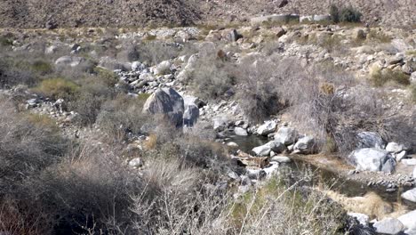 Übersichtsaufnahme-Des-Tahquitz-Creek