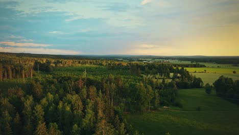 Lush-Coniferous-Forest-And-Green-Fields-Near-Hjo,-Sweden---aerial-shot