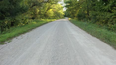 country road through the woods