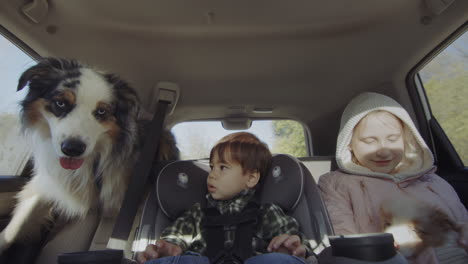 Dos-Niños,-Un-Perro-Y-Un-Cachorro-Viajan-En-El-Asiento-Trasero-De-Un-Coche.-Un-Viaje-Divertido-Con-Niños-Y-Mascotas