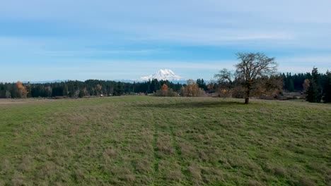 A-beautiful-crisp-fall-day-in-Washington-State