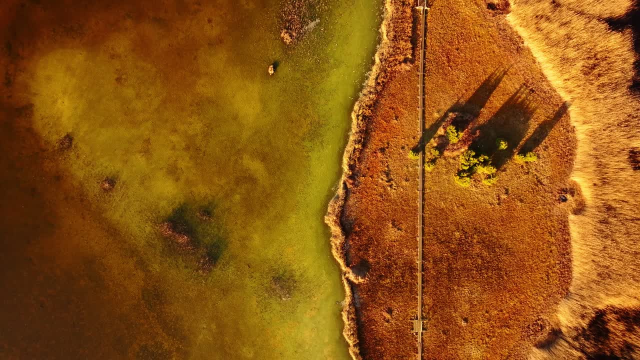 Drone captures reed trail at Kaniera Lake dividing green water, golden wetland