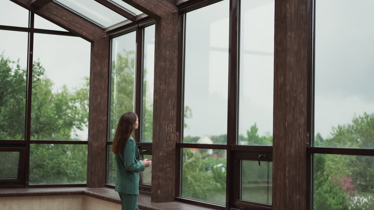 Business-lady looks at nature through window. Lingering disputes over resource allocation fuel sense of disillusionment in woman heart stifling innovation