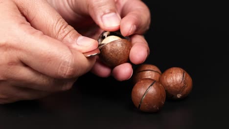 hands cracking macadamia nuts with a tool