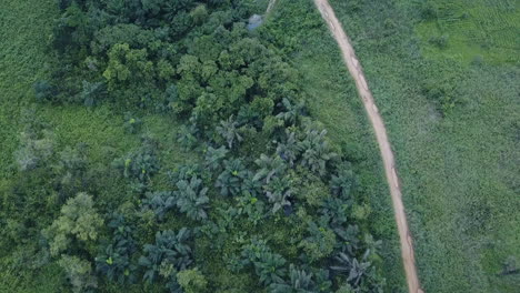 Volando-Sobre-Una-Pequeña-Jungla-Y-Una-Carretera-Al-Costado-En-El-Campo-De-Benin-áfrica