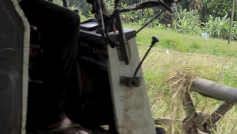 combine harvester machine on a paddy field closeup harvesting operation moving forward while cutting cereal grass