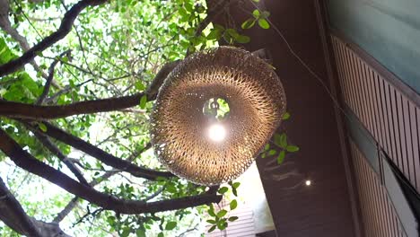 handcrafts round bamboo hanging lamp on tree 360d view