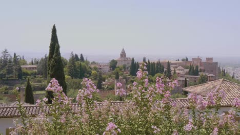 alhambra, granada con fiori rosa in primo piano