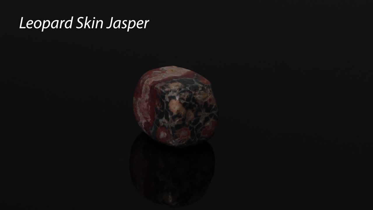 кожа леопарда jasper камень вращается на черной поверхности