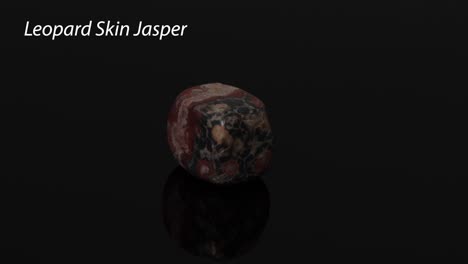 leopard skin jasper stone rotating on black surface