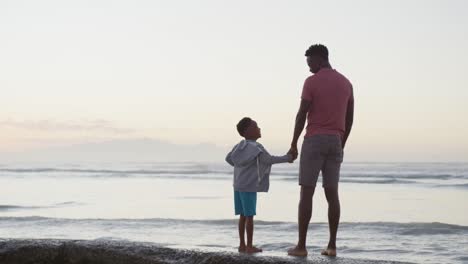 african american father holding hands with son on sunny beach