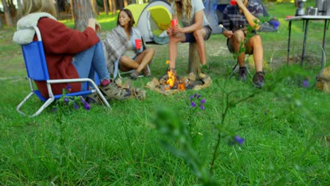 Freunde-Haben-Spaß-Am-Lagerfeuer-Im-Wald-4k