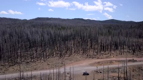 Drone-flying-over-trees-in-burn-area-forest-with-road,-black-car-and-blue-sky