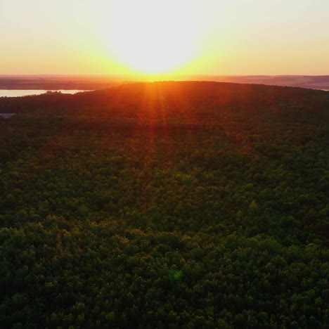 evening landscape of trees. view from above on green top trees with orange rays of the setting sun. beautiful nature at sunset. camera rising up.