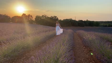 Sun-light-shining-on-a-cheerful-woman-relaxing-in-lavender-fields
