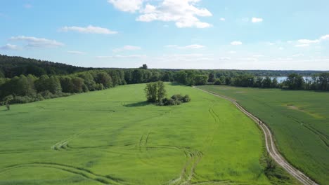 An-aerial-view-of-a-vibrant-green-field,-bordered-by-lush-trees-and-a-dirt-road