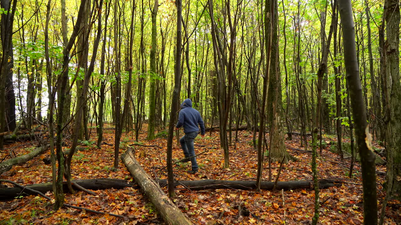 캐나다 가을에 산꼭대기 숲을 걷는 남자