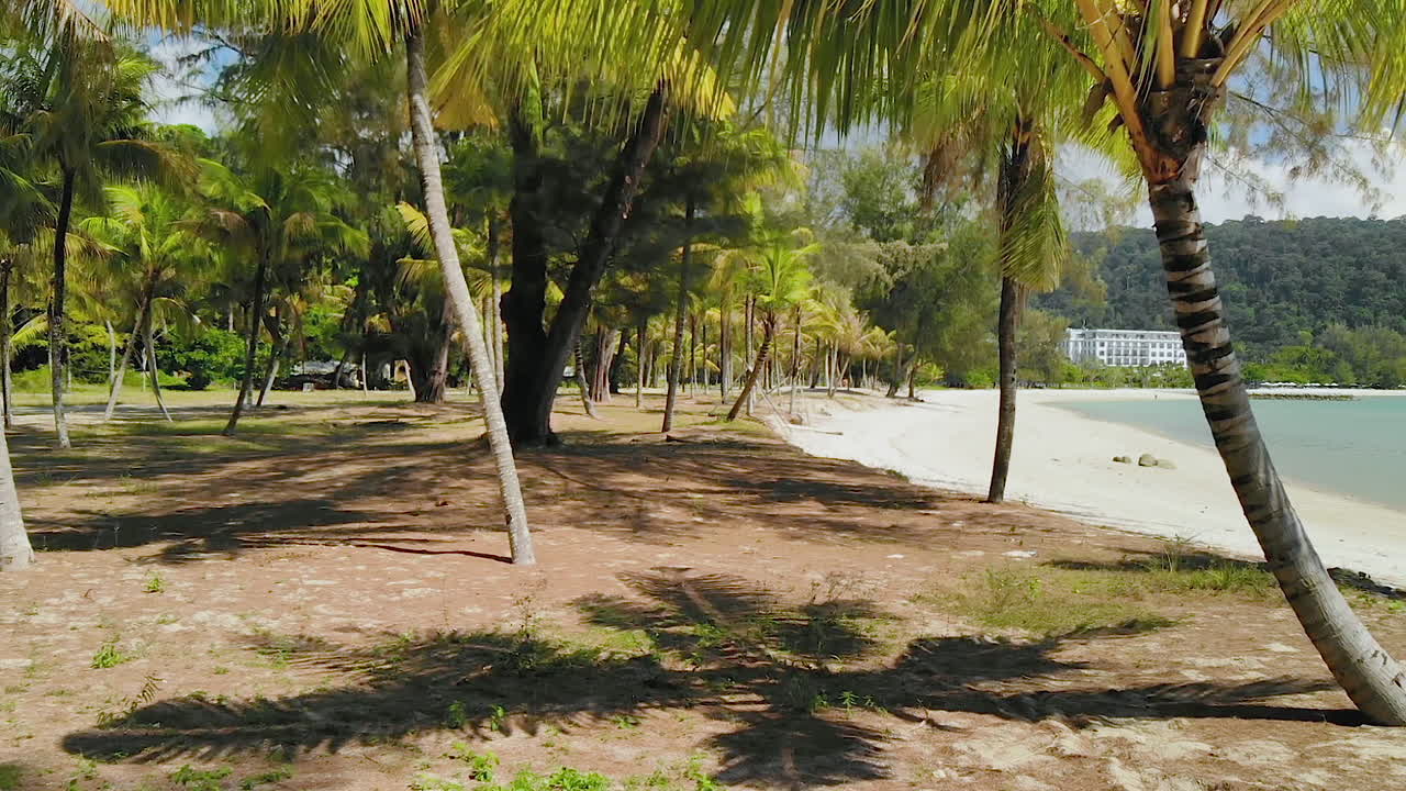 drone volando a través de palmeras en una playa aislada de una isla tropical