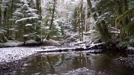 calm river outflow in the snow