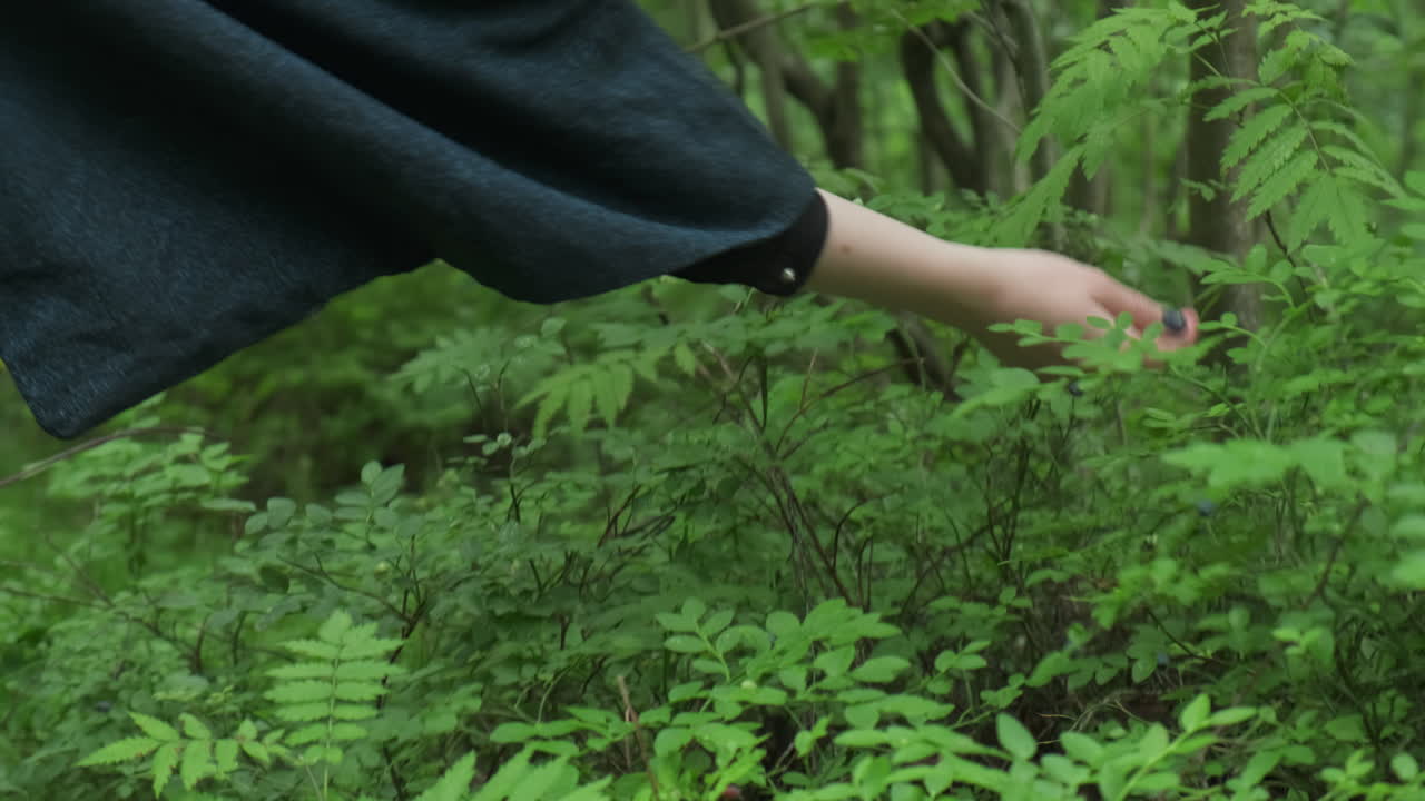 숲에서 블루베리를 뽑는 여자