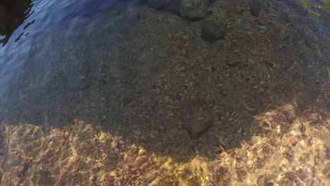 rocky and sandy river bed through crystal clear water in slow motion