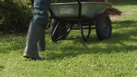 cropped view of farmer working on the garden pushing wheelbarrow