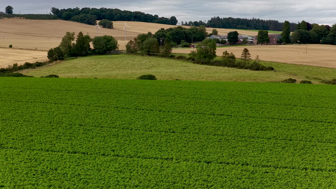 Eine sanfte Kameraschwenkung zeigt sanft hügelige grüne und goldene Weizenfelder unter bewölktem Himmel im ländlichen Kinross, Schottland, mit weicher natürlicher Beleuchtung