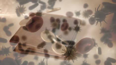 Animation-of-macro-Covid-19-and-blood-cells-floating-over-coins-falling-on-a-wallet.