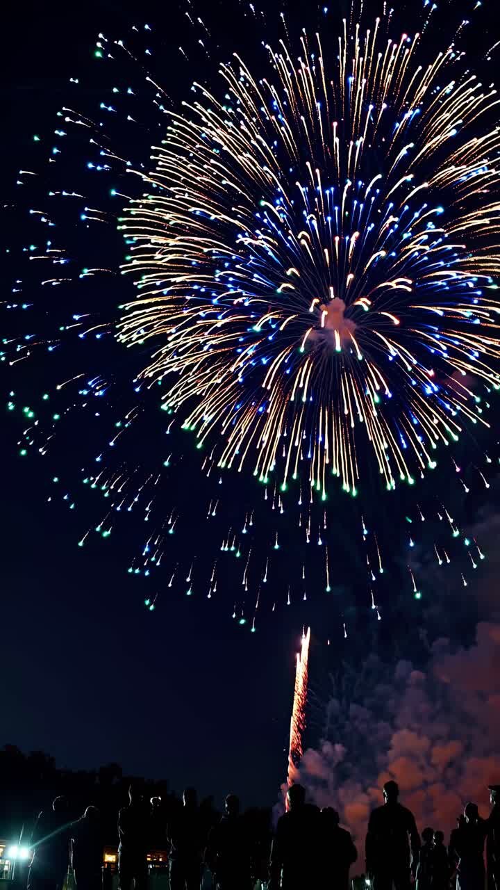 Vibrant fireworks burst in the night sky, captured from a low-angle