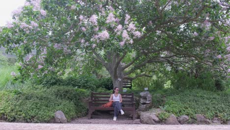 Niña-Sentada-En-El-Banco-Bajo-Un-Gran-árbol-Con-Flores-Moradas-Cayendo-En-El-Jardín-Botánico-Kirstenbosch