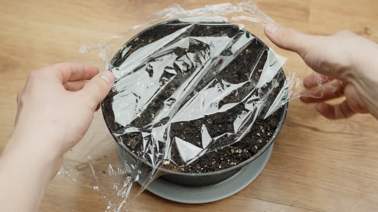 Covering a pot of soil with plastic wrap to help seeds sprout indoors