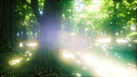 Großes-Rotwild-In-Einem-Grünen-Wald