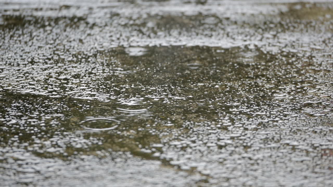 Close up shot of steady rain on pavement during daytime