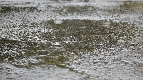 close up shot of steady rain on pavement during daytime