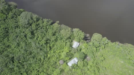 aerial view of dense jungle and river - drone shot