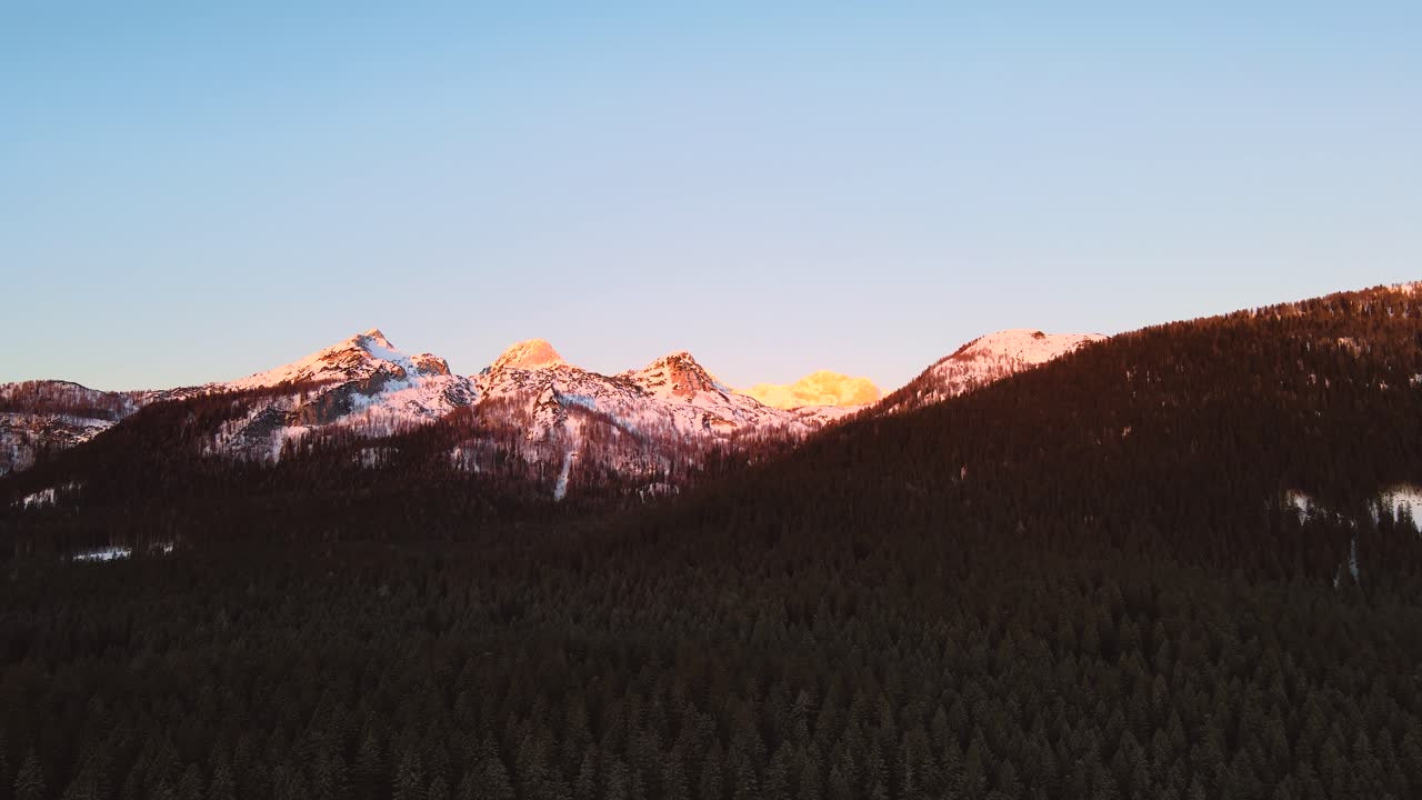 4k의 숲 pokljuka 위의 슬로베니아에서 포착된 아름다운 숲과 주변 언덕으로 일출 황금시간에 눈으로 덮인 풍경과 산들을 드론으로 포착한 자연