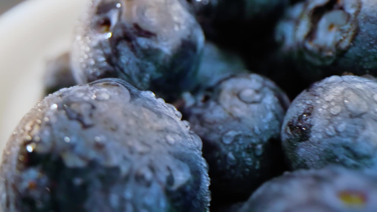 블루베리의 그 매크로 오른쪽에서 왼쪽으로 이동