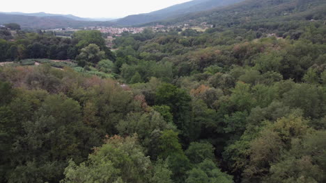 Video-Aéreo-De-Drones-Sobre-Un-Bosque-Verde-En-Cataluña,-España,-Con-Un-Pueblo-Rural-Y-Montañas-Al-Fondo