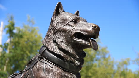 iditarod dog statue in alaska with bug flying by in background